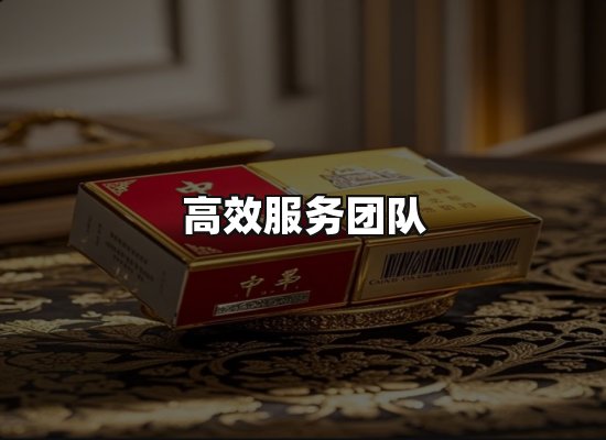 专业优势